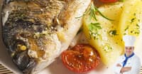 MEVSİMLERE GÖRE EN İYİ BALIKLAR : BALIK RESTORANLARI