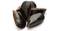 Midye Dolma Nasıl Yapılır? - Ankara Balık Restoranları