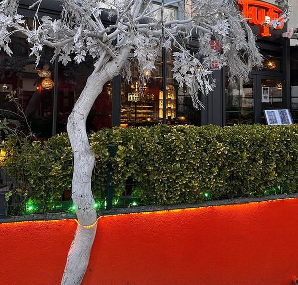 Kuytu Meze Balık - 15. Fotoğraf Kuytu Meze Balık - 15. Fotoğraf