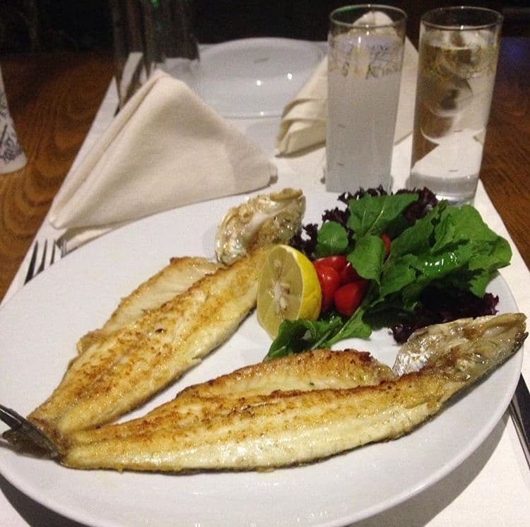 Mustafa Meyhane - 2. Fotoğraf