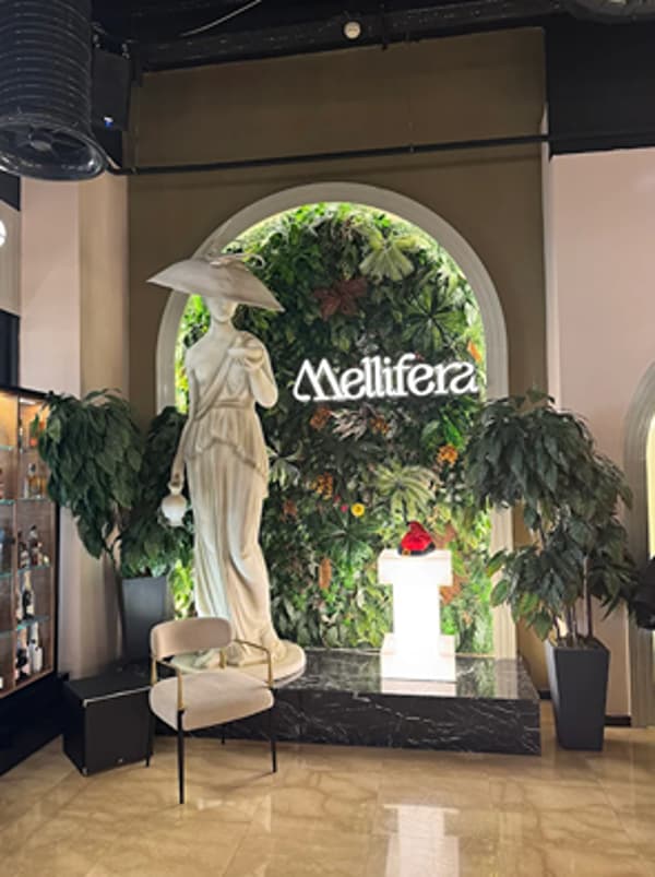 Mellifera Restoran - 4. Fotoğraf Mellifera Restoran - 4. Fotoğraf