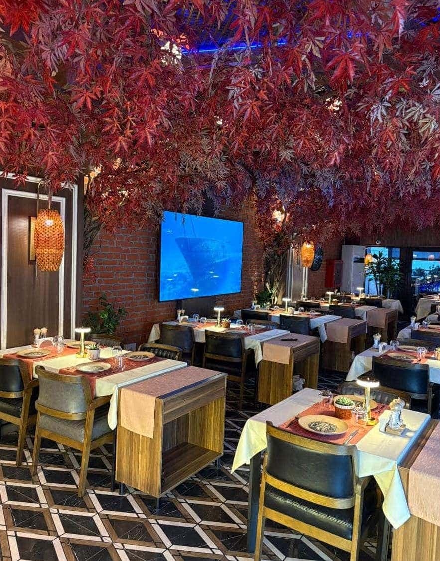 Palmiye Restoran - 4. Fotoğraf