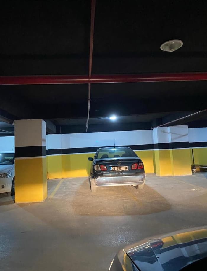 Palmiye Restoran - 5. Fotoğraf