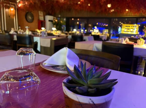 Palmiye Restoran - 15. Fotoğraf