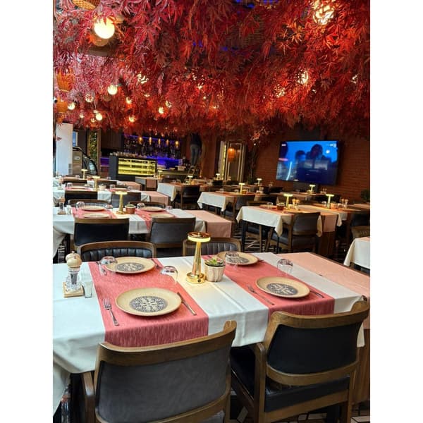 Palmiye Restoran - 17. Fotoğraf