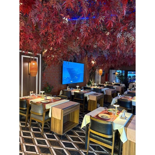 Palmiye Restoran - 18. Fotoğraf