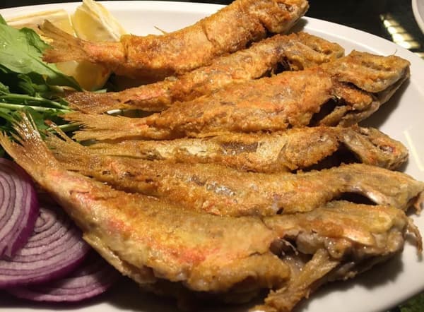 Çiroz Keyif - 10. Fotoğraf Çiroz Keyif - 10. Fotoğraf