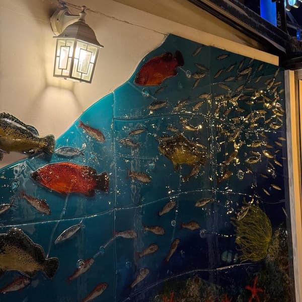 Çiroz Keyif - 5. Fotoğraf Çiroz Keyif - 5. Fotoğraf